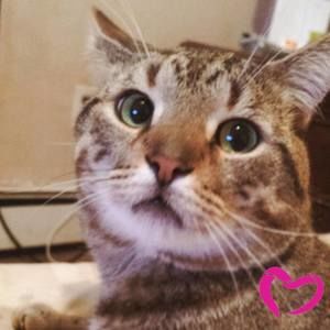 Meet your Posher, Vijay